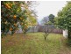 49 Eden Street, Bega NSW 2550