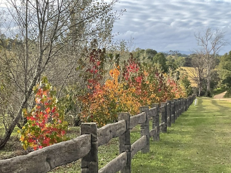 704 Tantawangalo Lane, Candelo NSW 2550