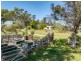 238 Wallagoot Lane, Wallagoot NSW 2550