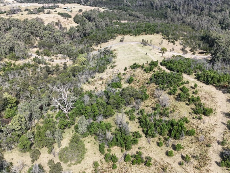 238 Moons Road, Bemboka NSW 2550