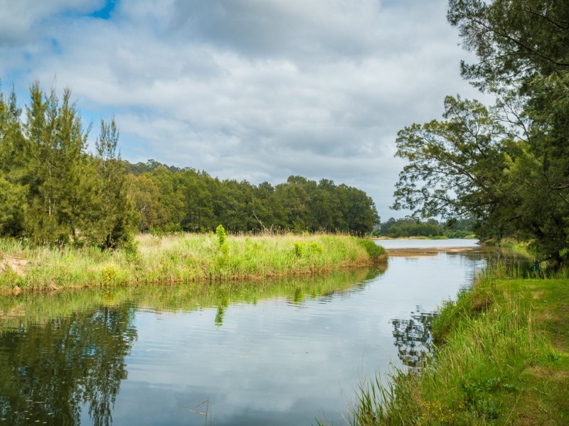 732 Reedy Swamp Road, Bega NSW 2550