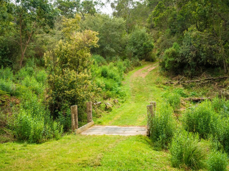 732 Reedy Swamp Road, Bega NSW 2550