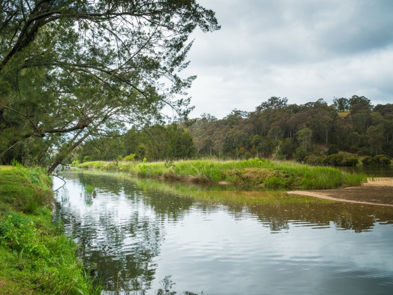 732 Reedy Swamp Road, Bega NSW 2550