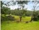 732 Reedy Swamp Road, Bega NSW 2550