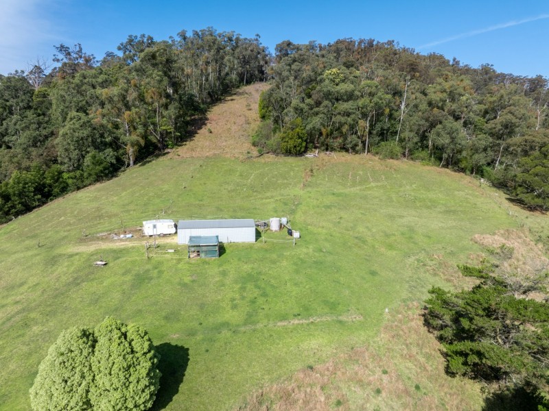 144 Murrays Flat Road, Tarraganda NSW 2550
