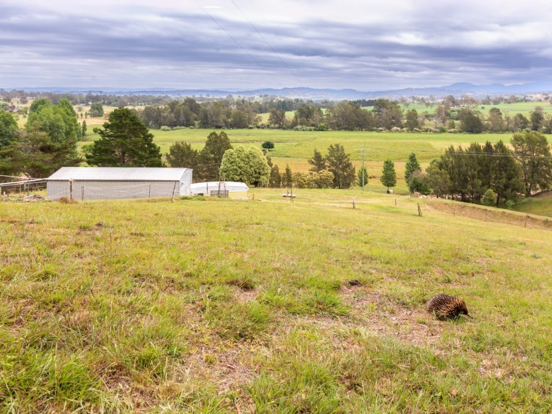 144 Murrays Flat Road, Tarraganda NSW 2550