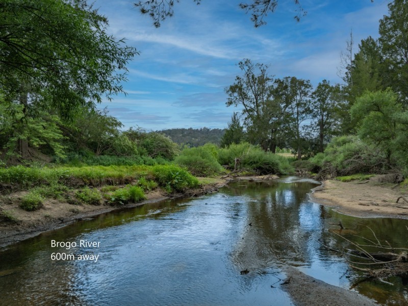 144 Murrays Flat Road, Tarraganda NSW 2550