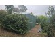 52 Robertson Street, Bemboka NSW 2550