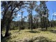 3355 Mount Darragh Road, Wyndham NSW 2550
