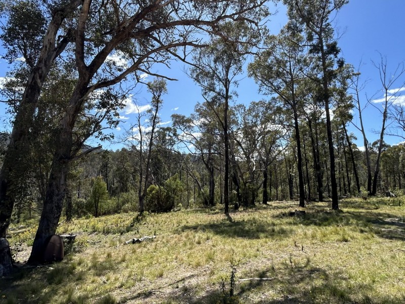 3355 Mount Darragh Road, Wyndham NSW 2550