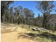 3355 Mount Darragh Road, Wyndham NSW 2550