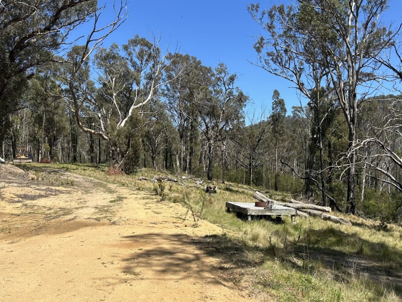 3355 Mount Darragh Road, Wyndham NSW 2550