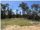 3355 Mount Darragh Road, Wyndham NSW 2550