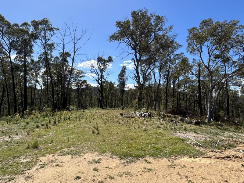 3355 Mount Darragh Road, Wyndham NSW 2550