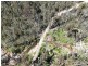 3355 Mount Darragh Road, Wyndham NSW 2550