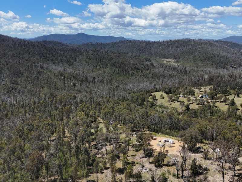 3355 Mount Darragh Road, Wyndham NSW 2550