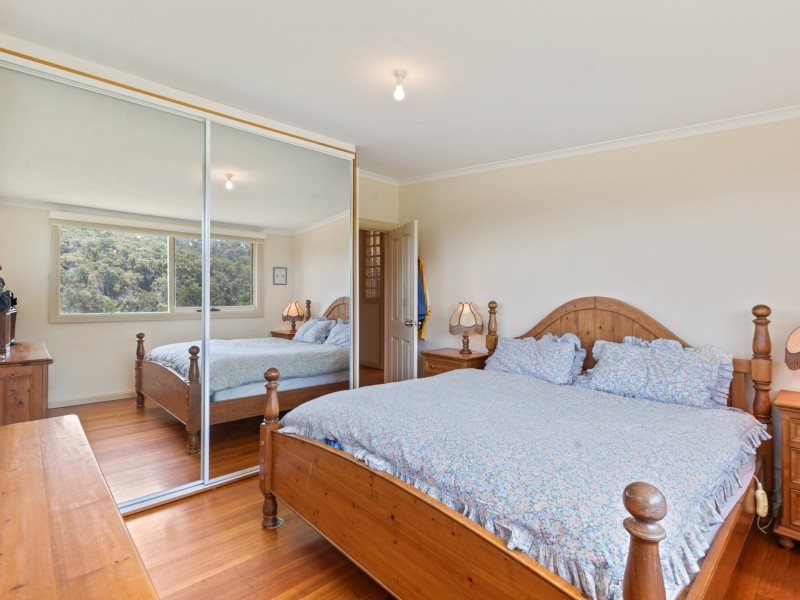 116 Big Jack Mountain Road, Burragate NSW 2550