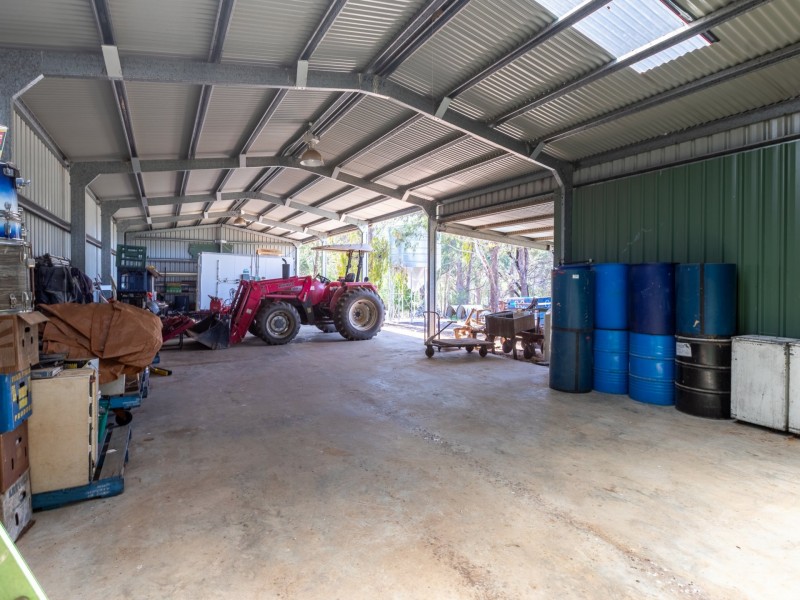 116 Big Jack Mountain Road, Burragate NSW 2550