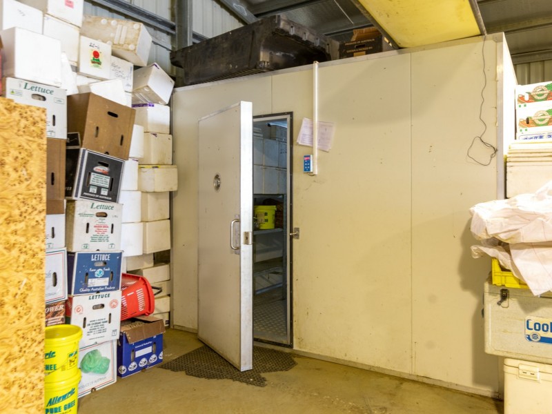 116 Big Jack Mountain Road, Burragate NSW 2550