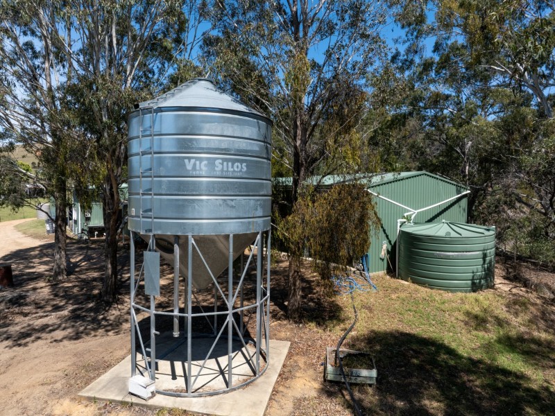 116 Big Jack Mountain Road, Burragate NSW 2550