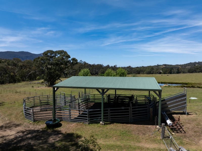 116 Big Jack Mountain Road, Burragate NSW 2550