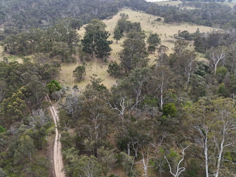 30 Big Jack Mountain Road, Burragate NSW 2550