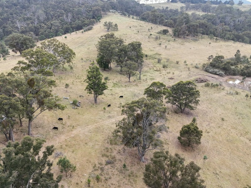 30 Big Jack Mountain Road, Burragate NSW 2550