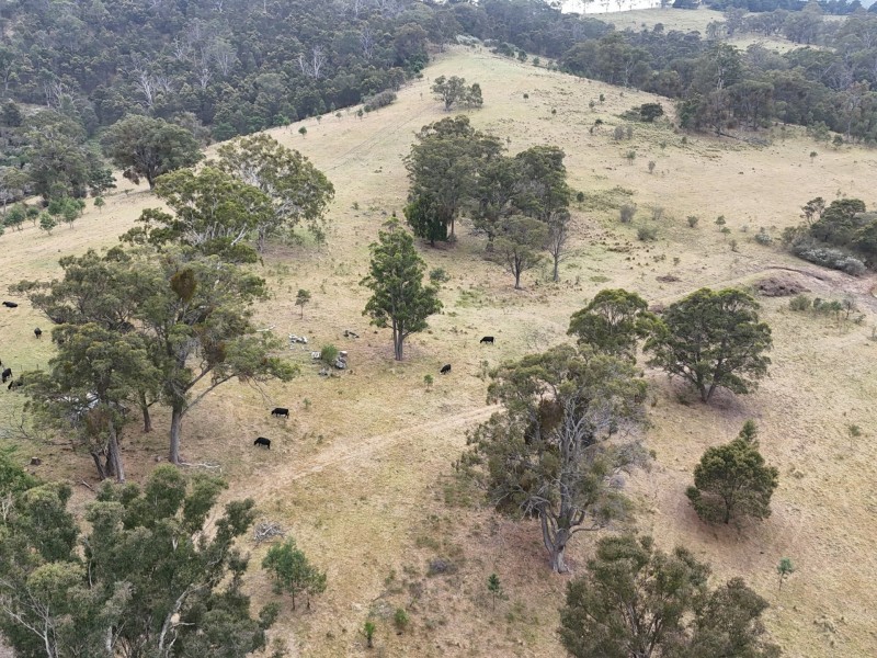 30 Big Jack Mountain Road, Burragate NSW 2550