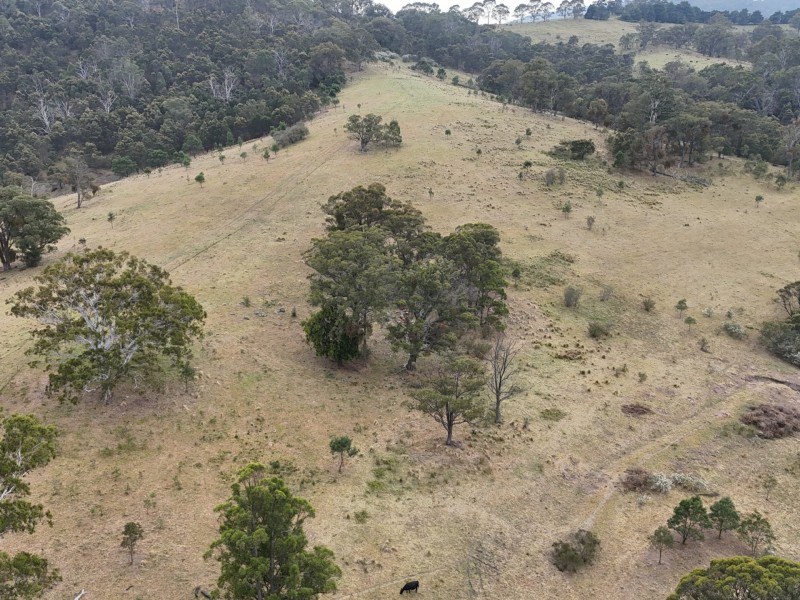 30 Big Jack Mountain Road, Burragate NSW 2550