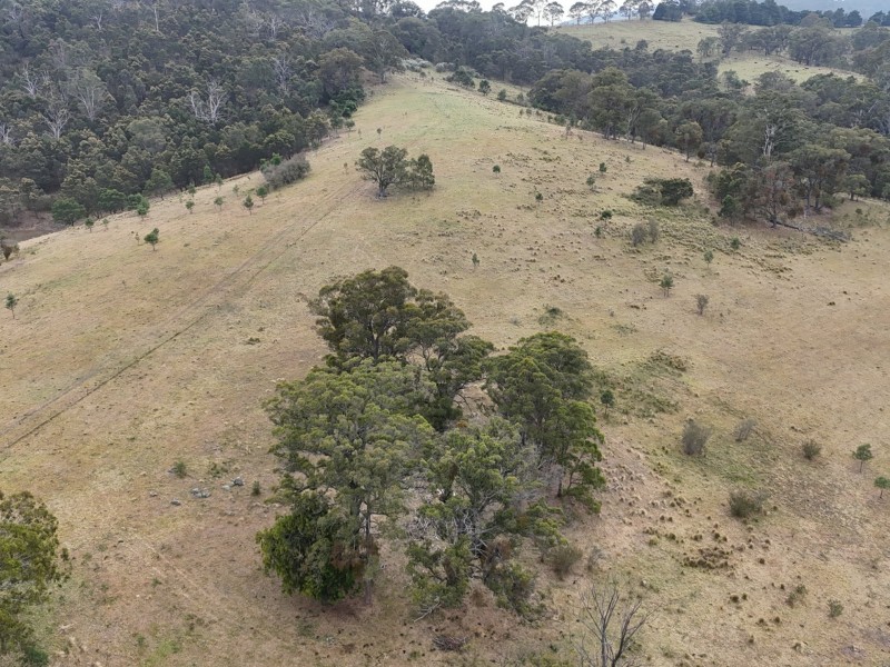 30 Big Jack Mountain Road, Burragate NSW 2550