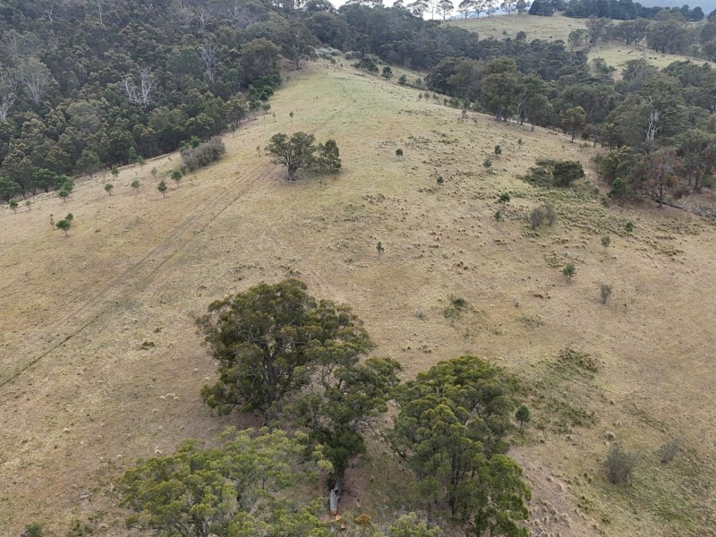 30 Big Jack Mountain Road, Burragate NSW 2550