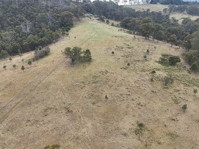 30 Big Jack Mountain Road, Burragate NSW 2550