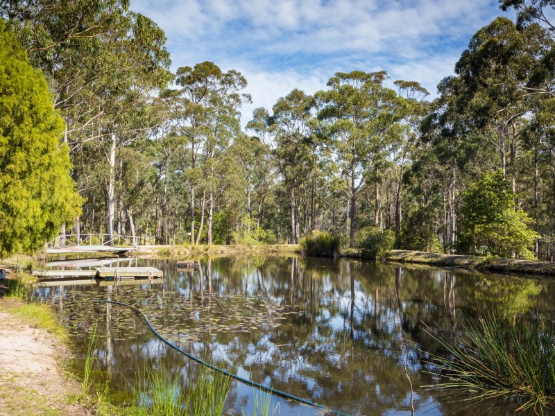 1804 Sapphire Coast Drive, Kalaru NSW 2550
