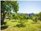 19 Cobargo Bermagui Road, Cobargo NSW 2550