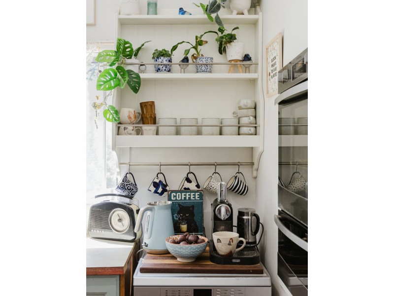 533 Warrigal Range Road, Brogo NSW 2550