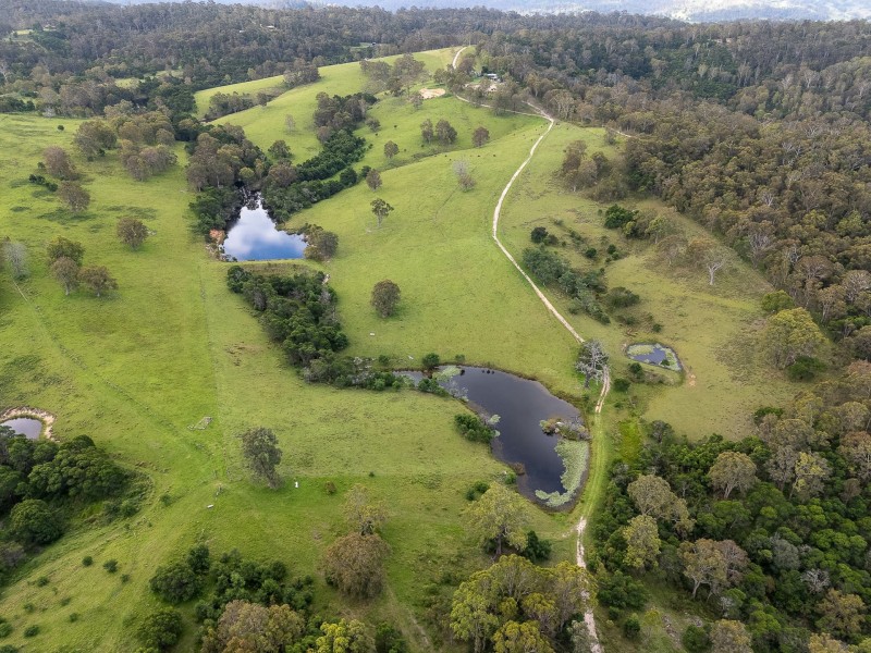 533 Warrigal Range Road, Brogo NSW 2550