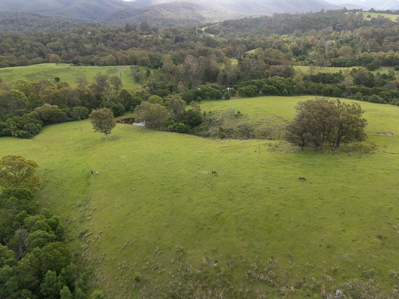 533 Warrigal Range Road, Brogo NSW 2550