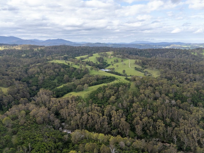 533 Warrigal Range Road, Brogo NSW 2550