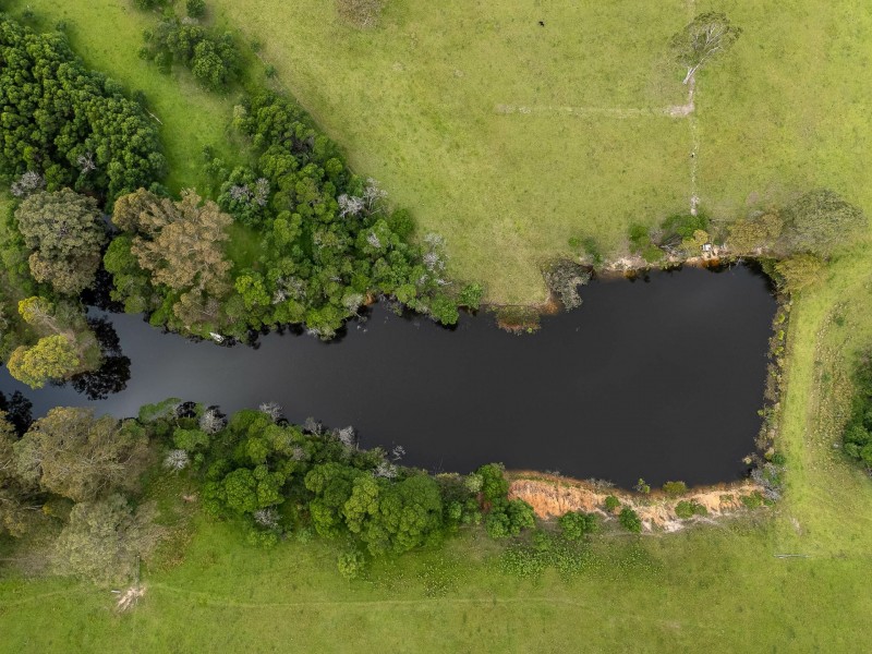 533 Warrigal Range Road, Brogo NSW 2550