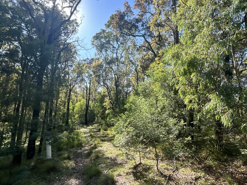 Lot 3 DP1128262 Yowrie Road, Yowrie NSW 2550