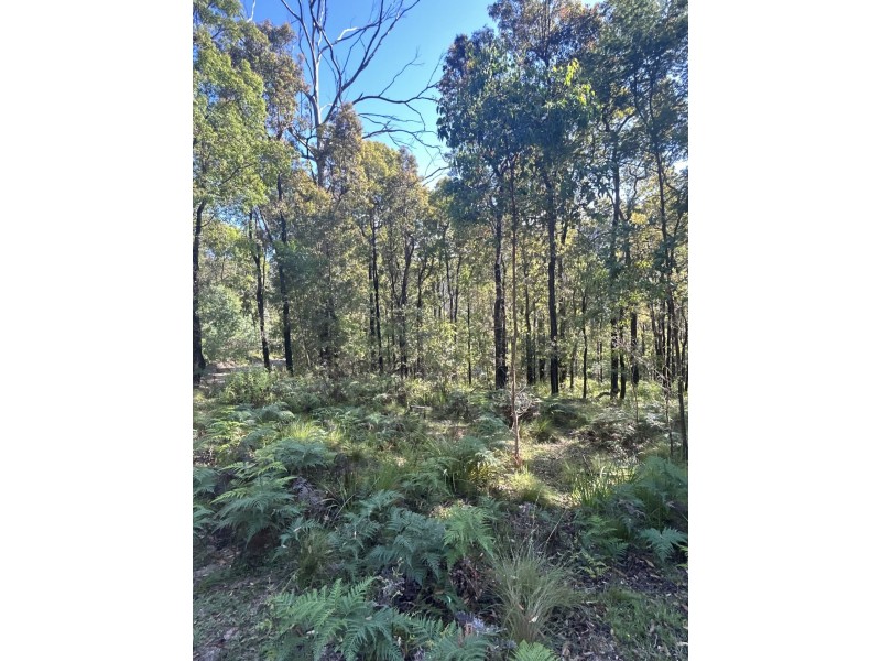 Lot 3 DP1128262 Yowrie Road, Yowrie NSW 2550