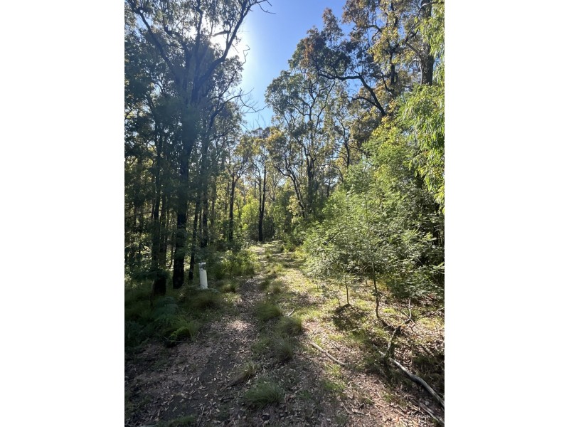 Lot 3 DP1128262 Yowrie Road, Yowrie NSW 2550