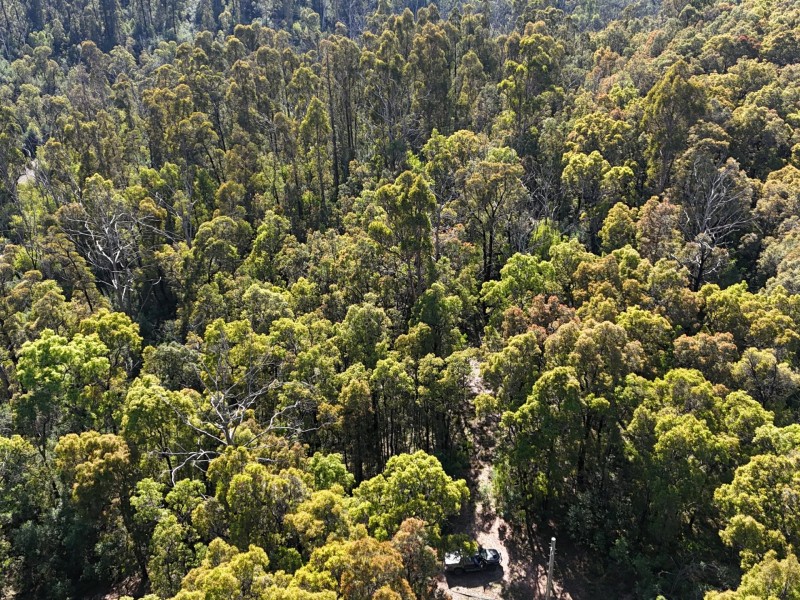 Lot 3 DP1128262 Yowrie Road, Yowrie NSW 2550