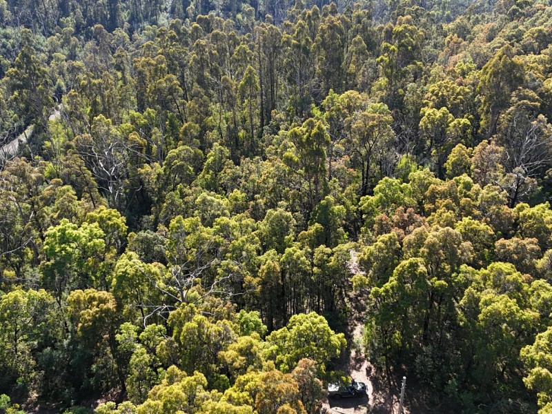 Lot 3 DP1128262 Yowrie Road, Yowrie NSW 2550