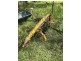 370 Filmer Williams Road, Mogilla NSW 2550