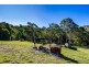 142 Eagles Nest Road, Brogo NSW 2550