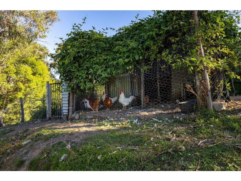142 Eagles Nest Road, Brogo NSW 2550