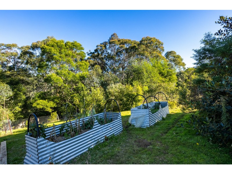 142 Eagles Nest Road, Brogo NSW 2550