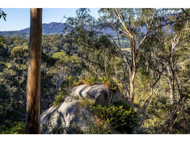 142 Eagles Nest Road, Brogo NSW 2550