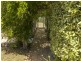 660 Hawks Head Road, Brogo NSW 2550
